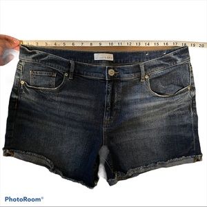 Ann Taylor Loft Shorts size 14